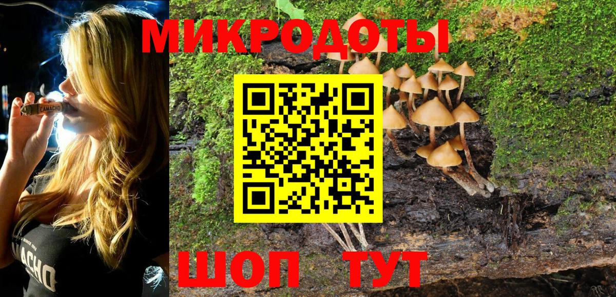 Галлюциногенные грибы GOLDEN TEACHER Гусев